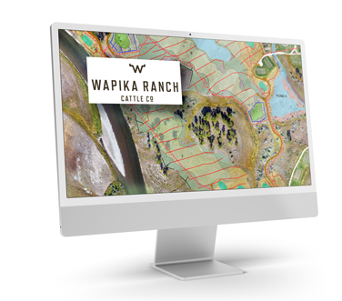 Wapika Ranch